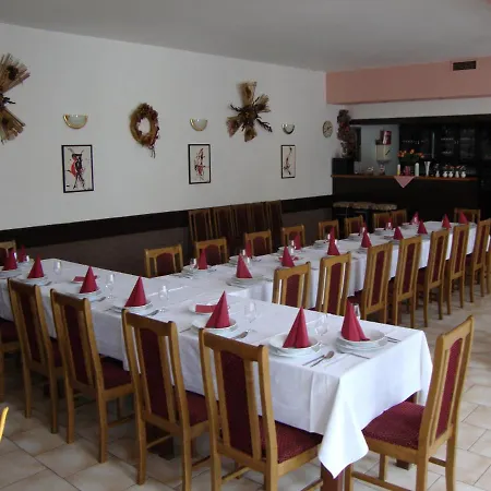Restaurace-pension-vinarstvi U Stastnych Guest house *